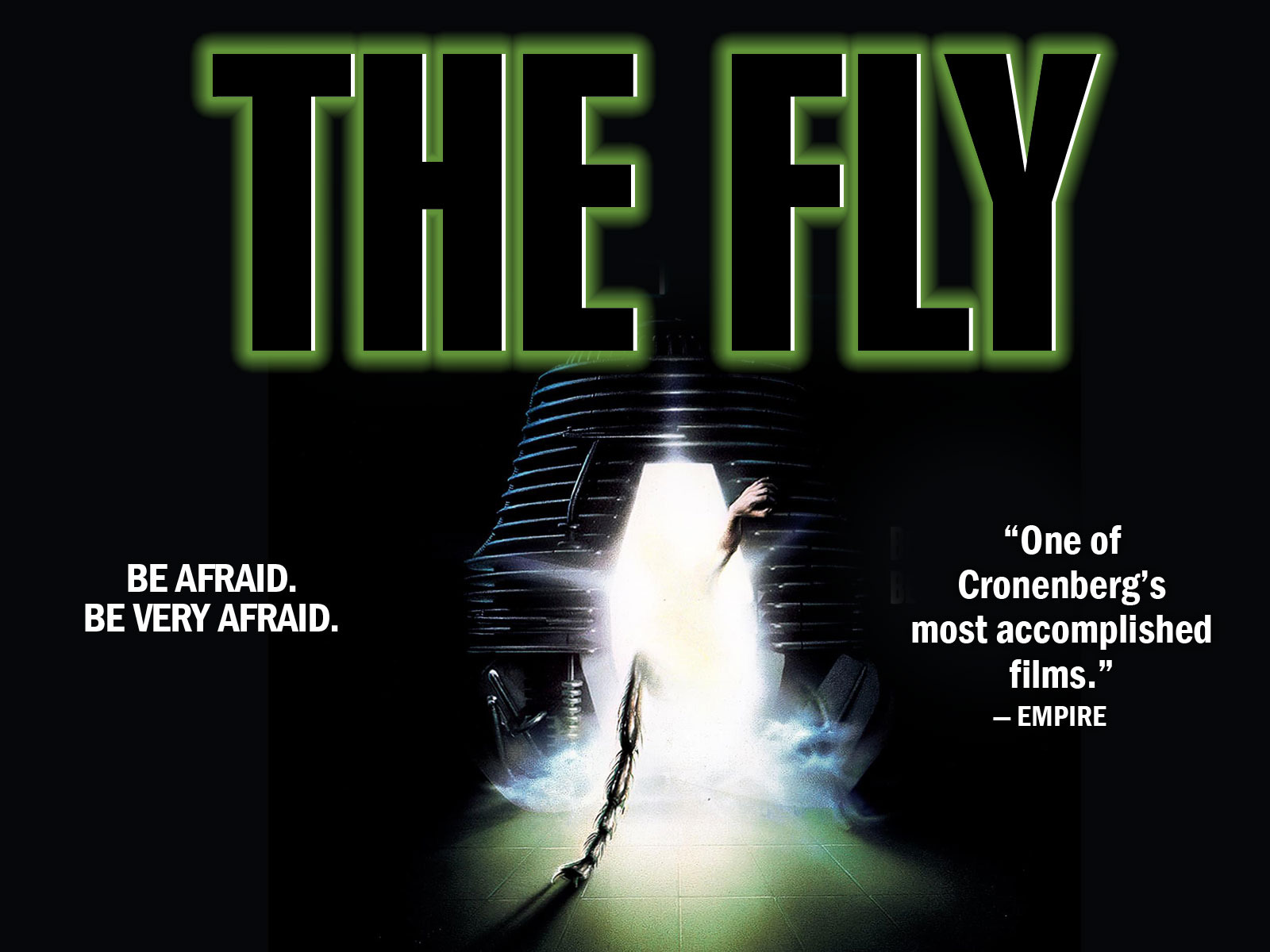 
The Fly 
            