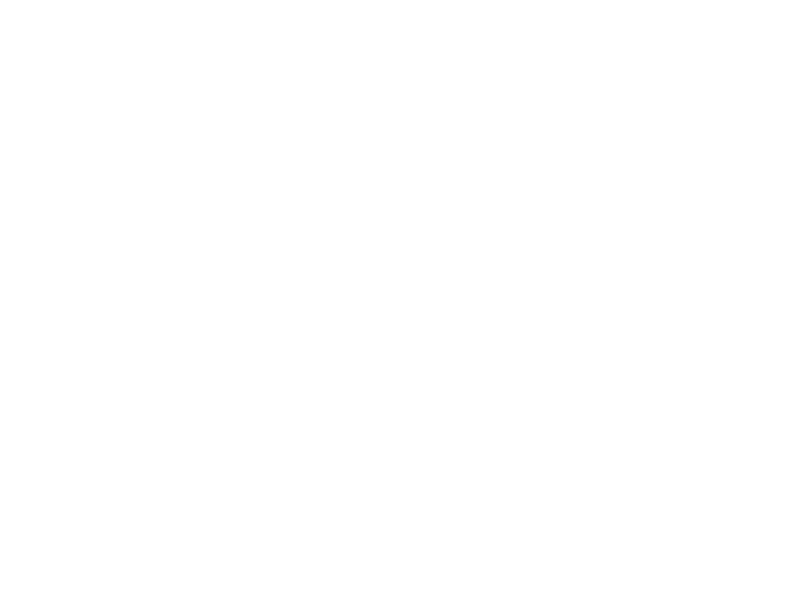 amy's place 