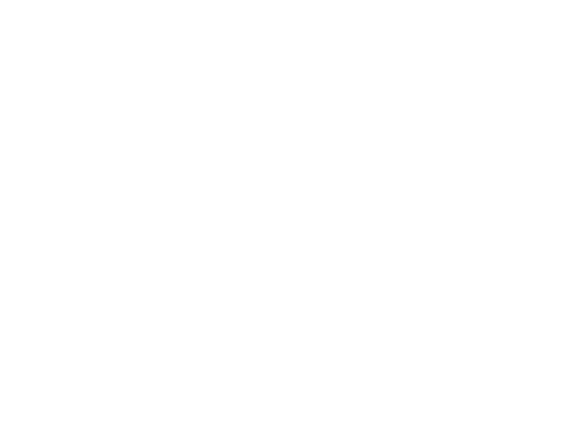the scratching post