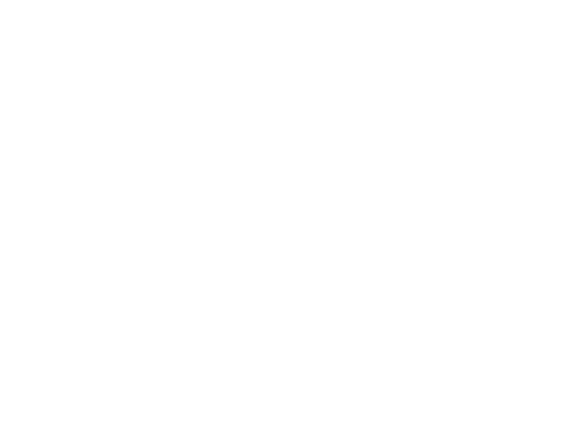 the virginia theatre